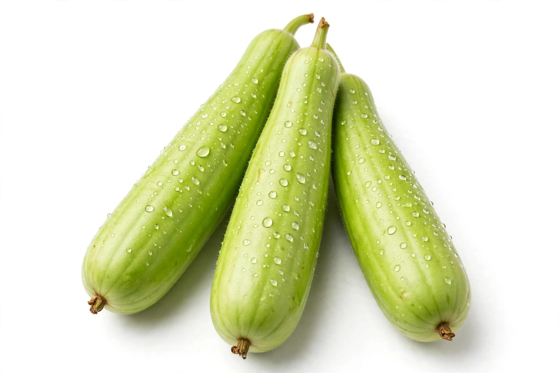 कद्दू, kaddu,lauki,ghiya