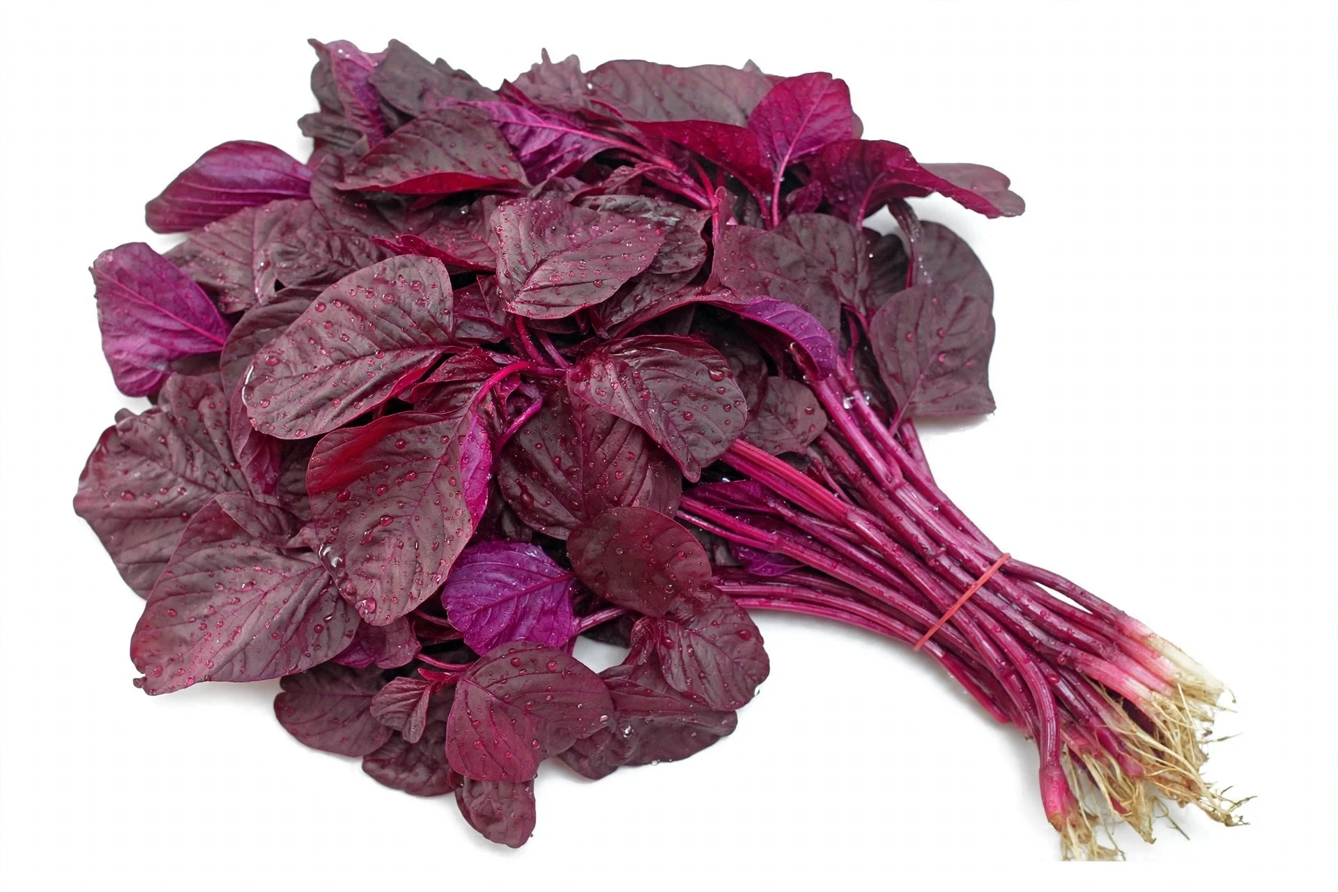 Lal sag, लाल साग,red amaranth
